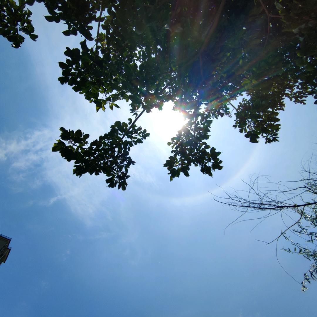 雲森林