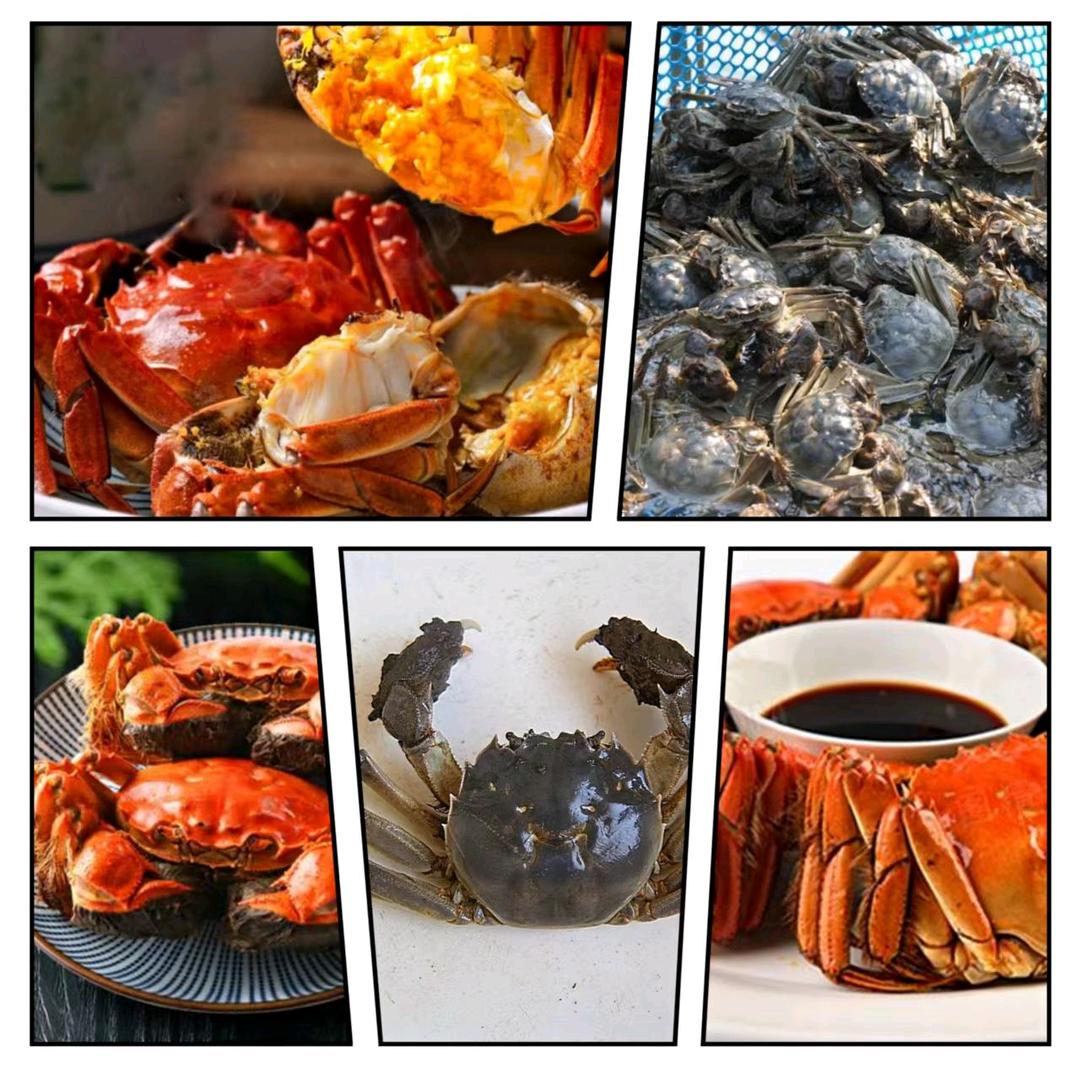 骆马湖精品大闸蟹