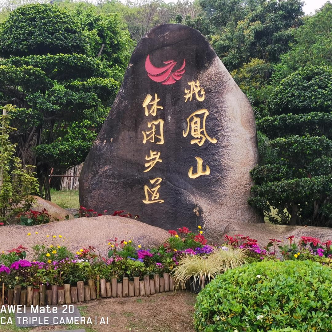 人生就这样