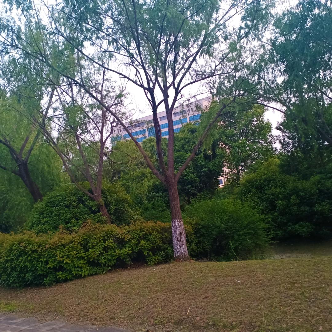 圣泉