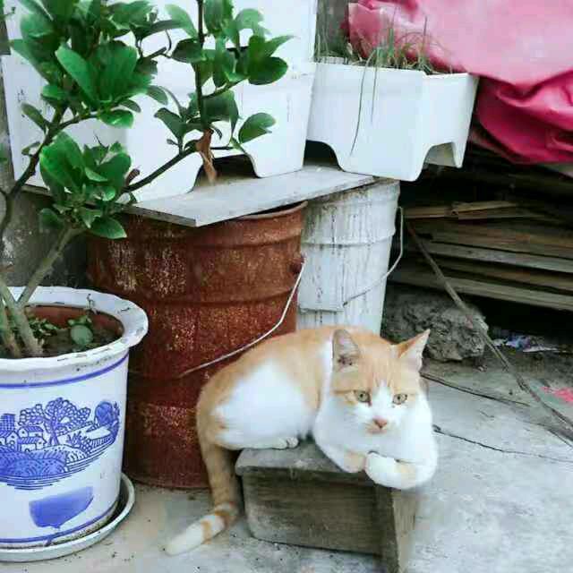 一生平安，