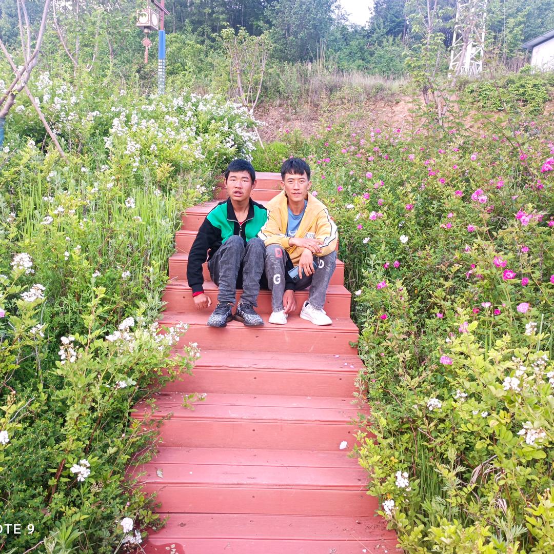 往后的日子顺其自然