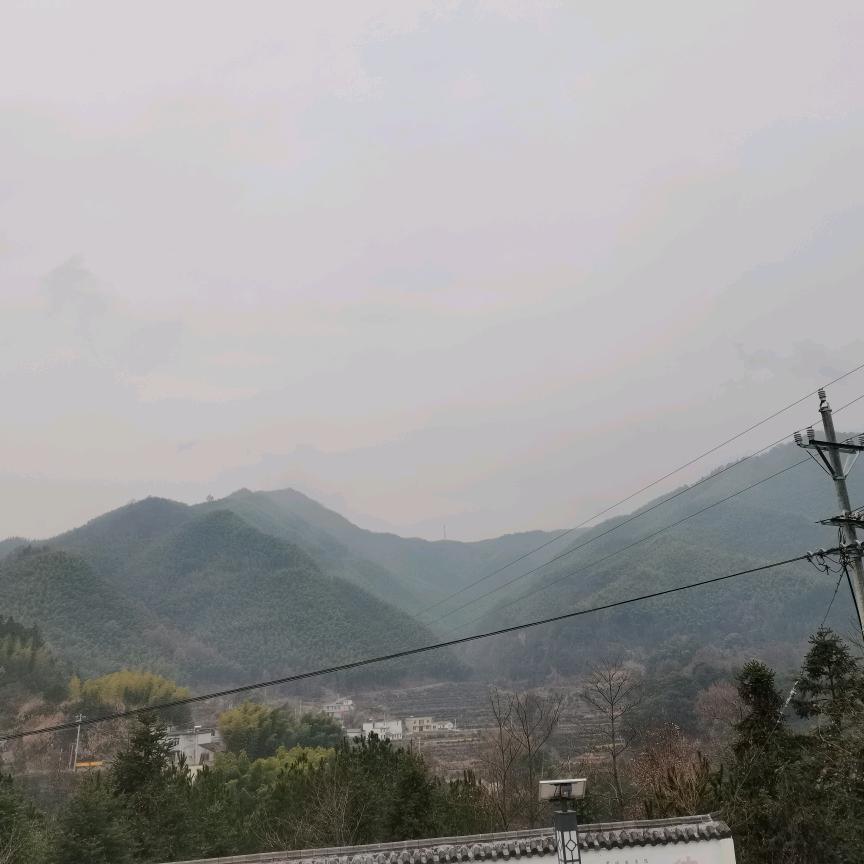 独立自主