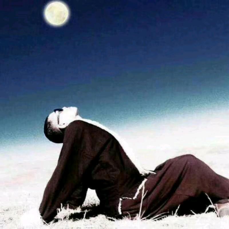 不变的承诺！📞☎️