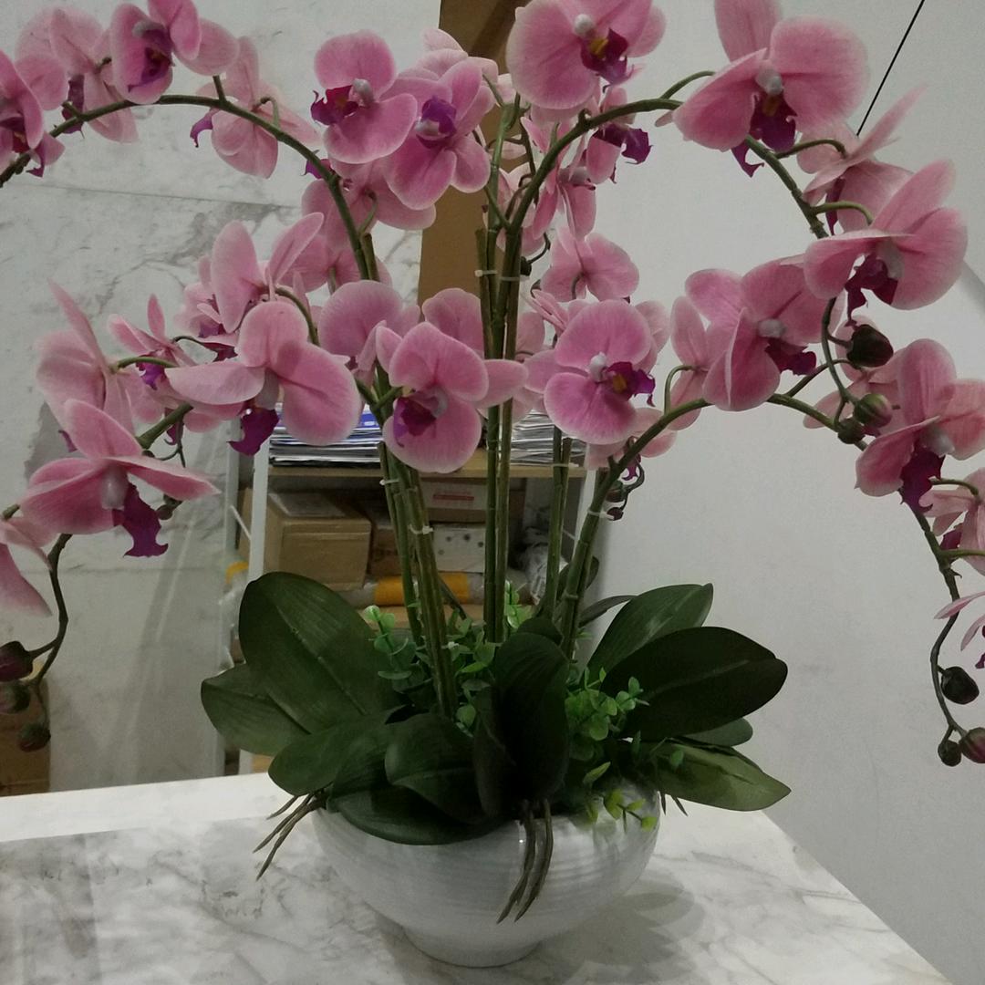 北方雪花