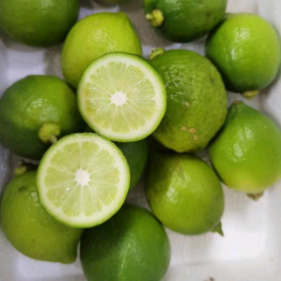 宴明