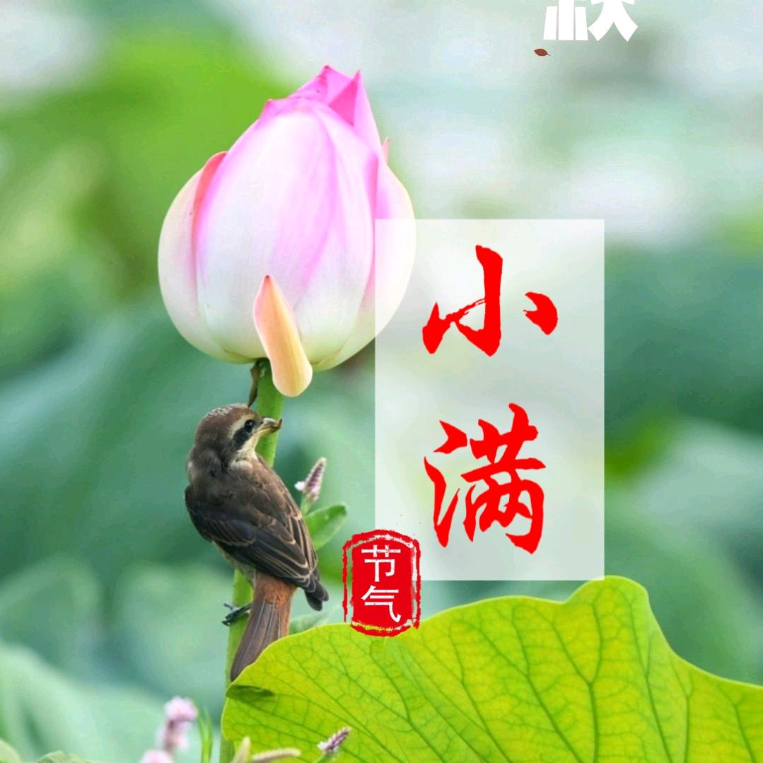 季言