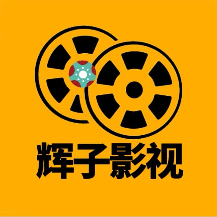 辉子影视