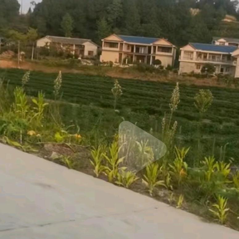 有你不后悔