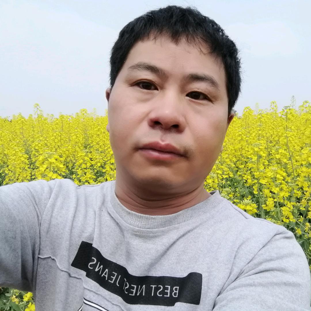 顾…………