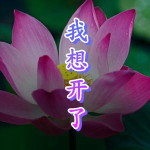 昨天的思念悠如今日的你。