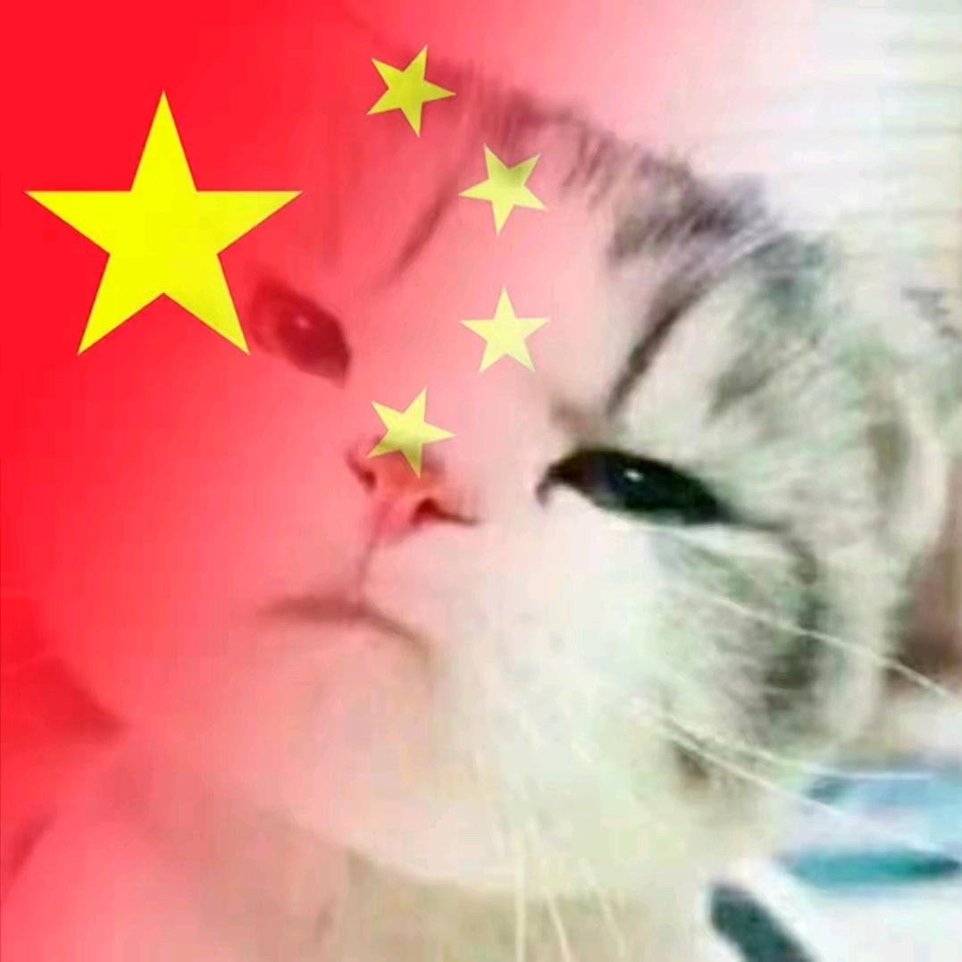 夜影之殇⁹¹⁵