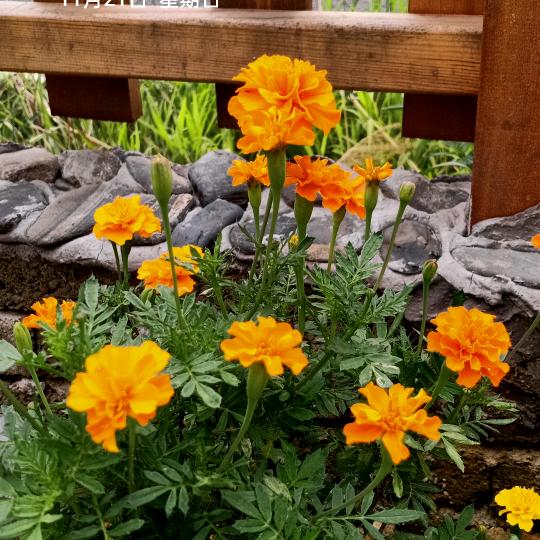 用户2394805350941真诚相待