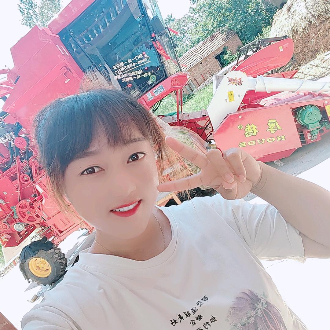 收割机团队～河南婷妹儿