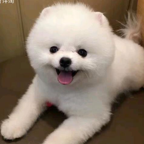 今非昔比楠姐