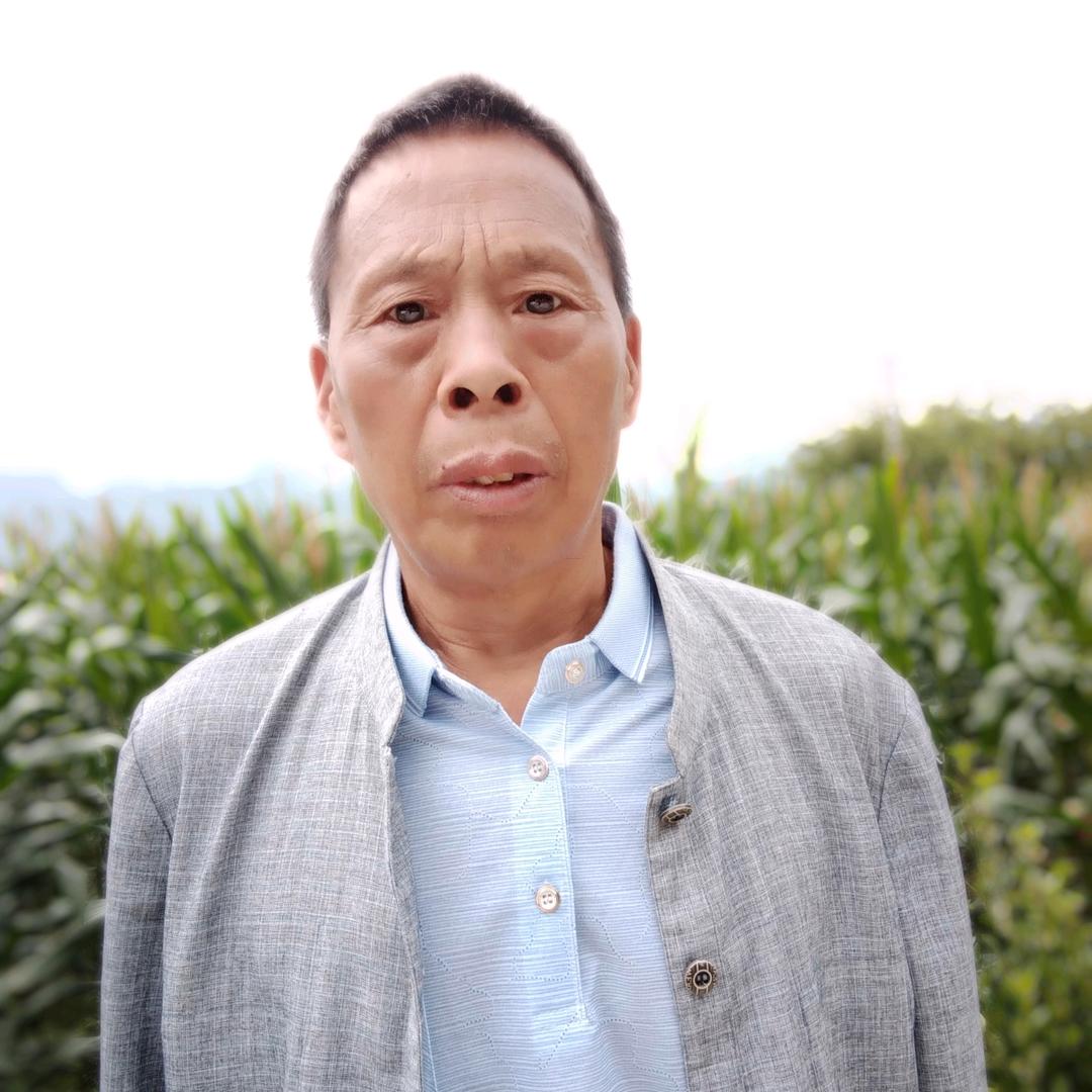 焦辉元