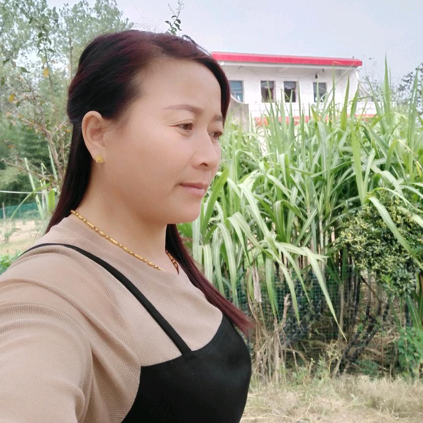 快乐人生