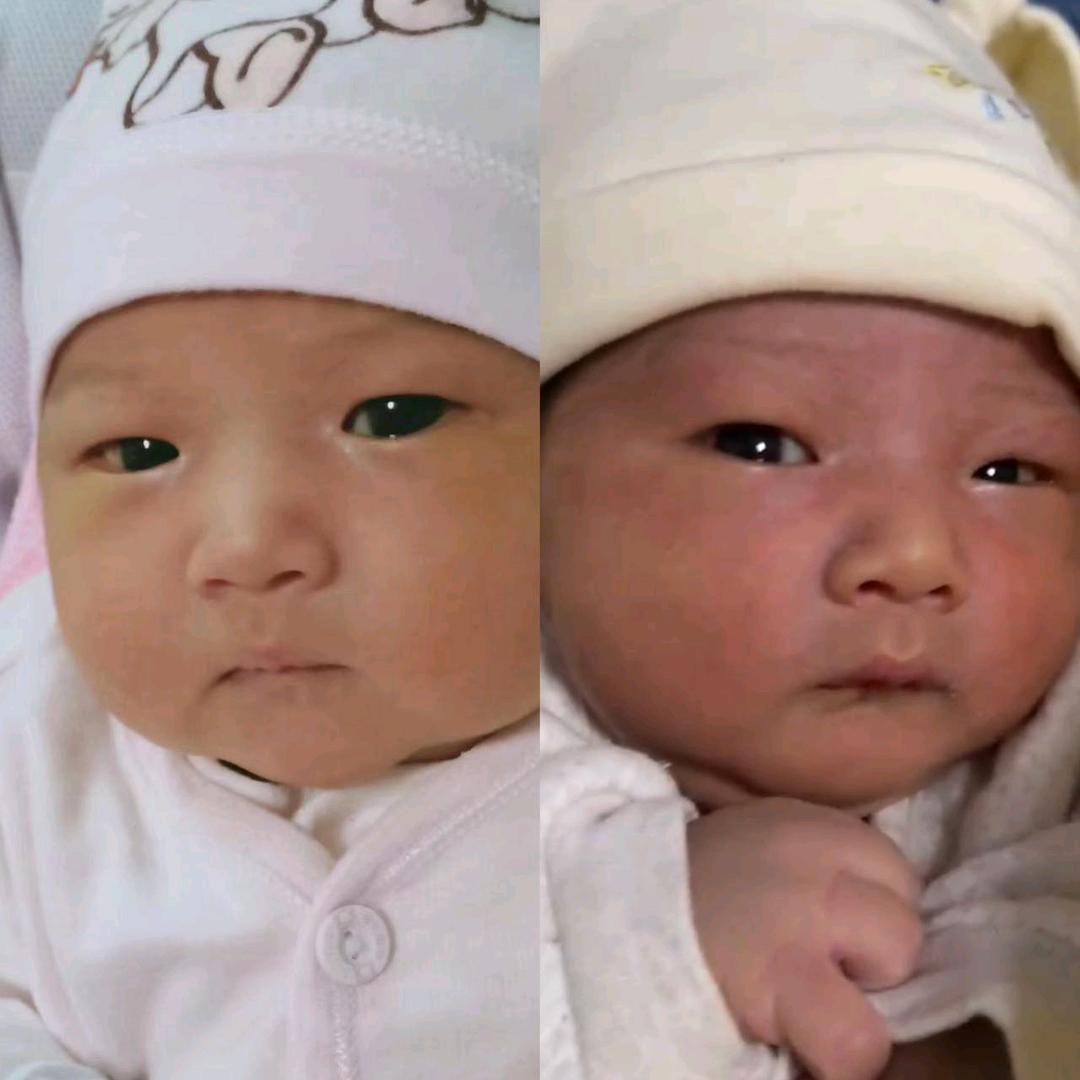 两只小“文”子