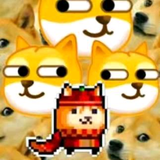 一只哈士奇(私信被封了)