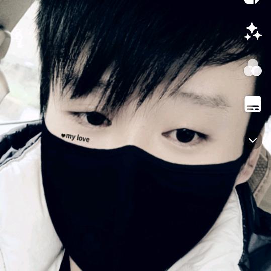 🌵仙人掌