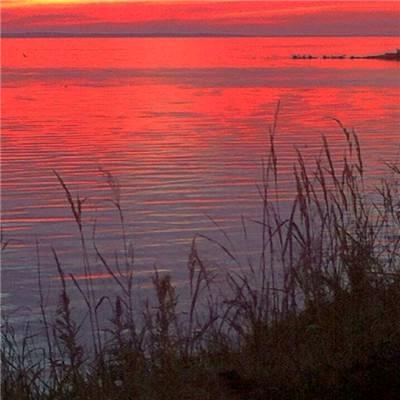 ℒᎭℯ⃝半醒半醉半浮生💫ᝰ᭄