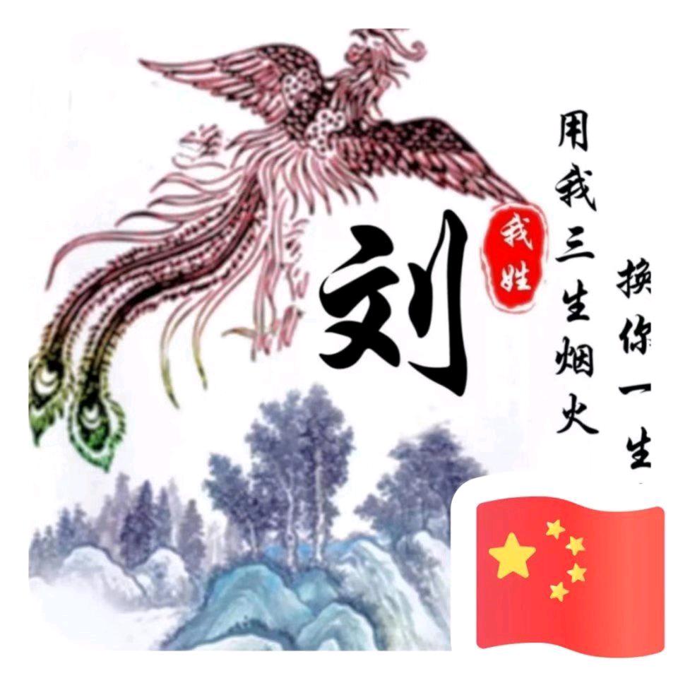 青春如流星★
