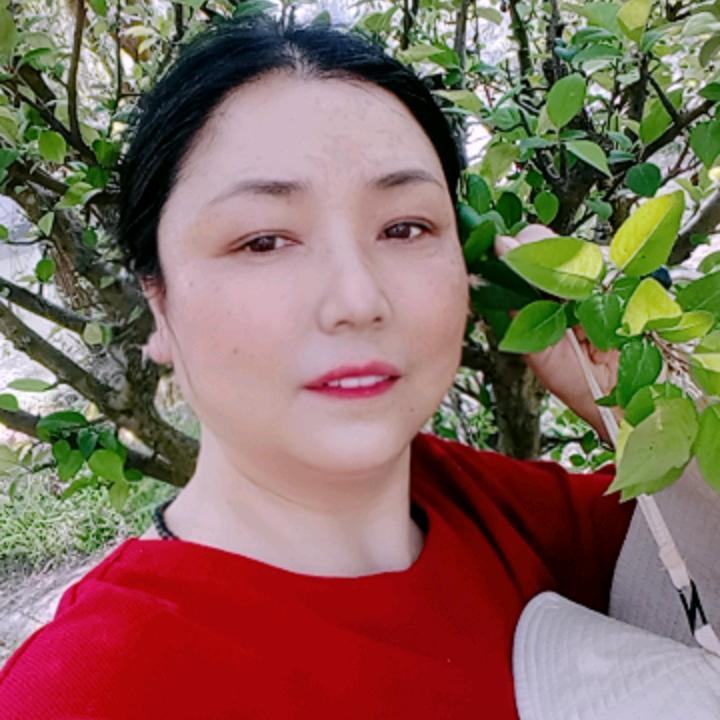 明姐