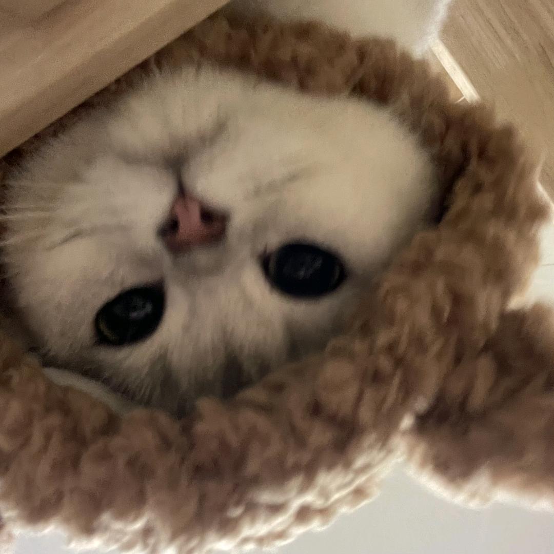 好啊智