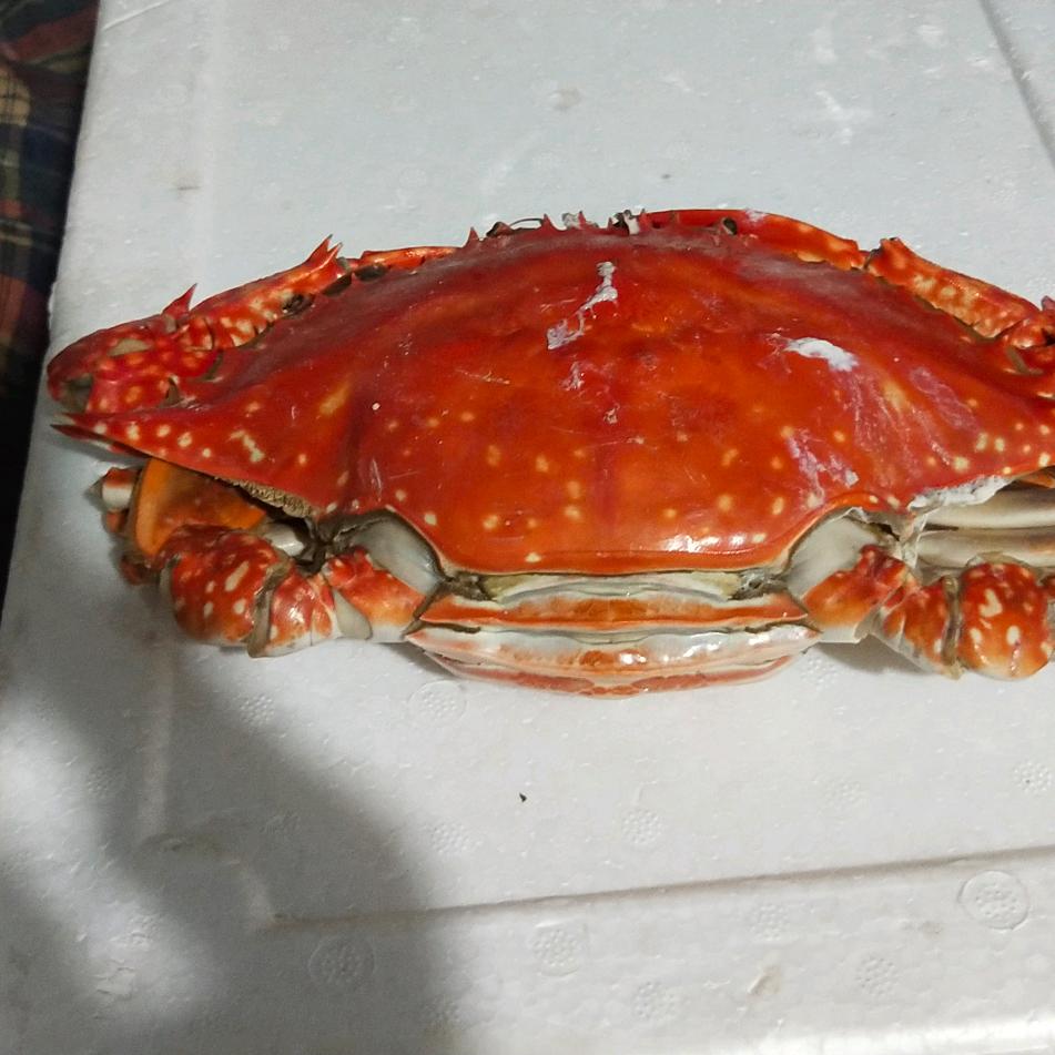 福东水暖
