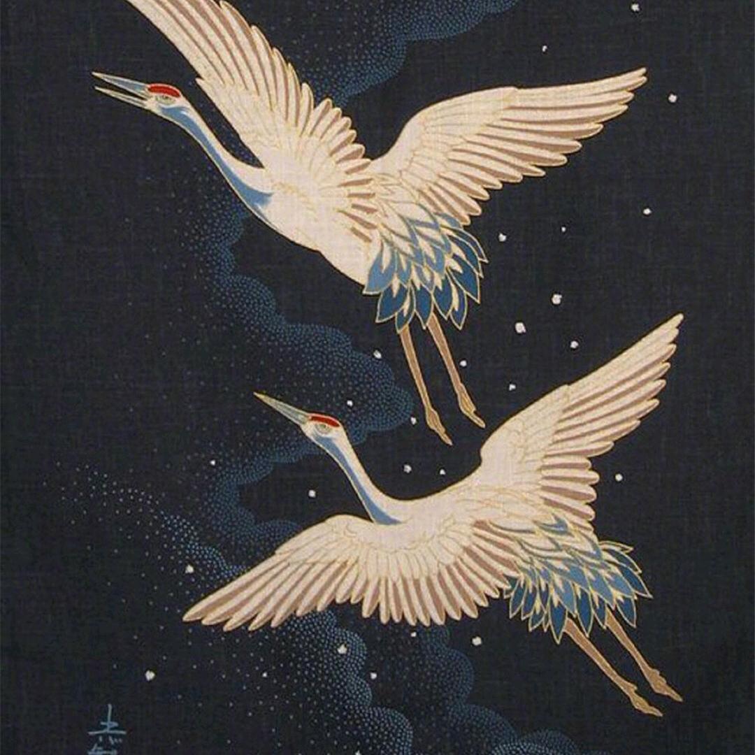 小鸟伏特加🐦🐧