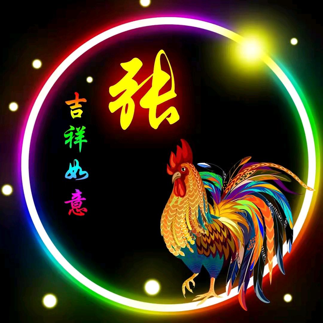 忠748461头像