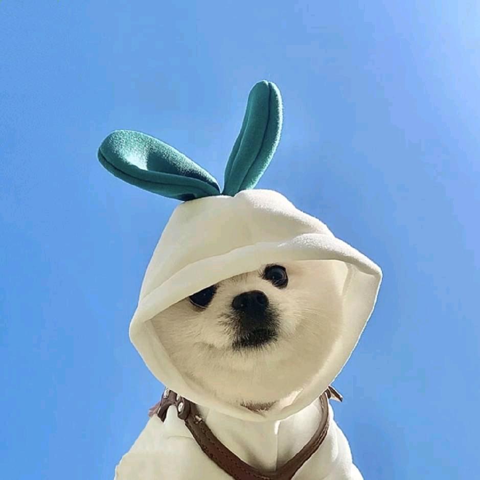 ED$