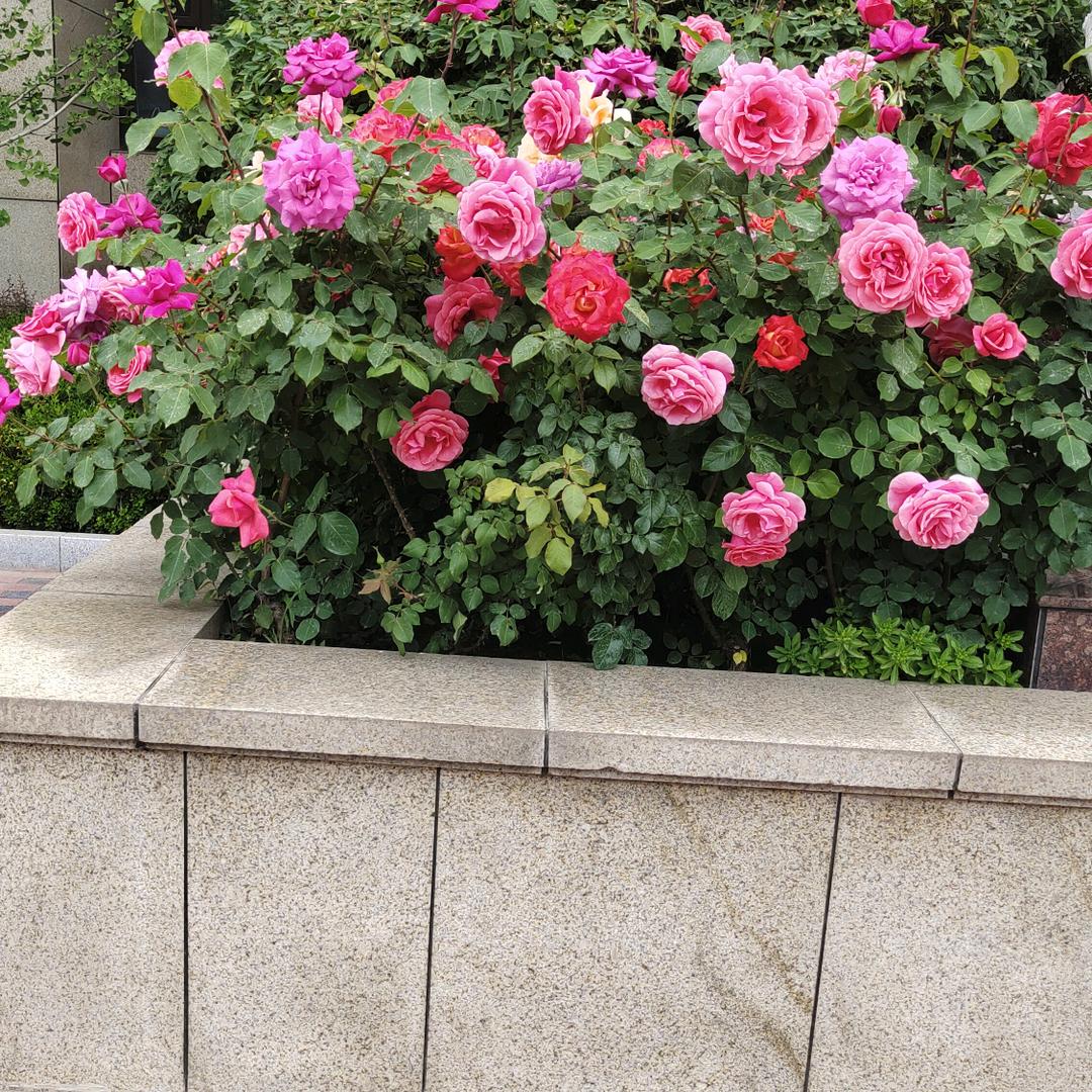 用户9219626948956小张张