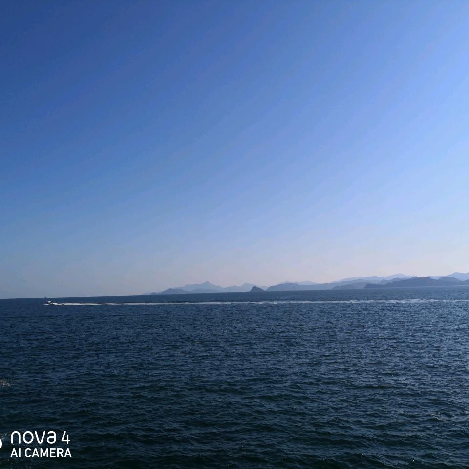 夏天里的萤火虫