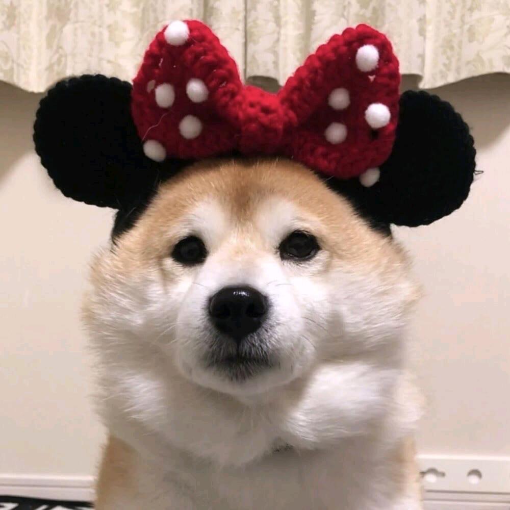 鑫の