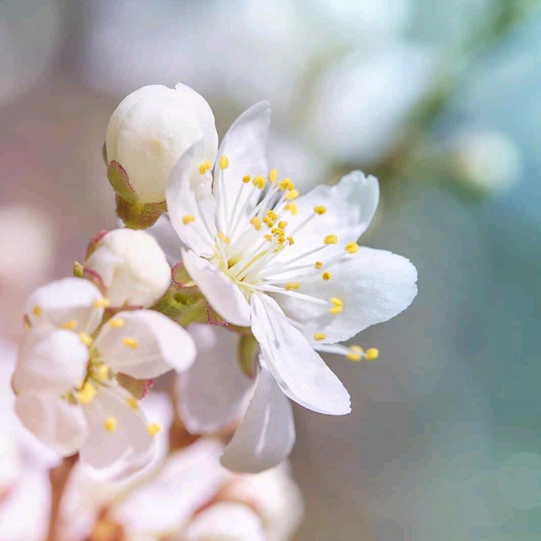 微笑阳光🌼🌸