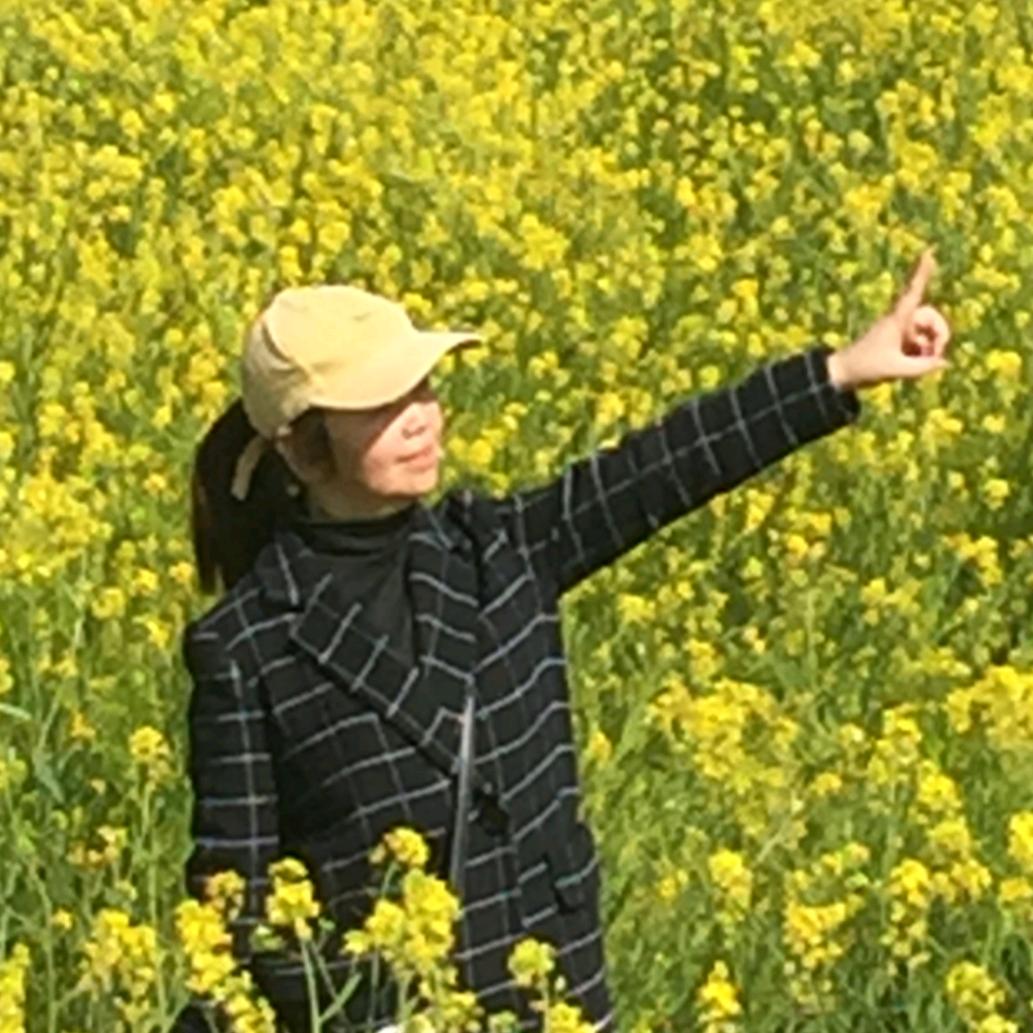 飞