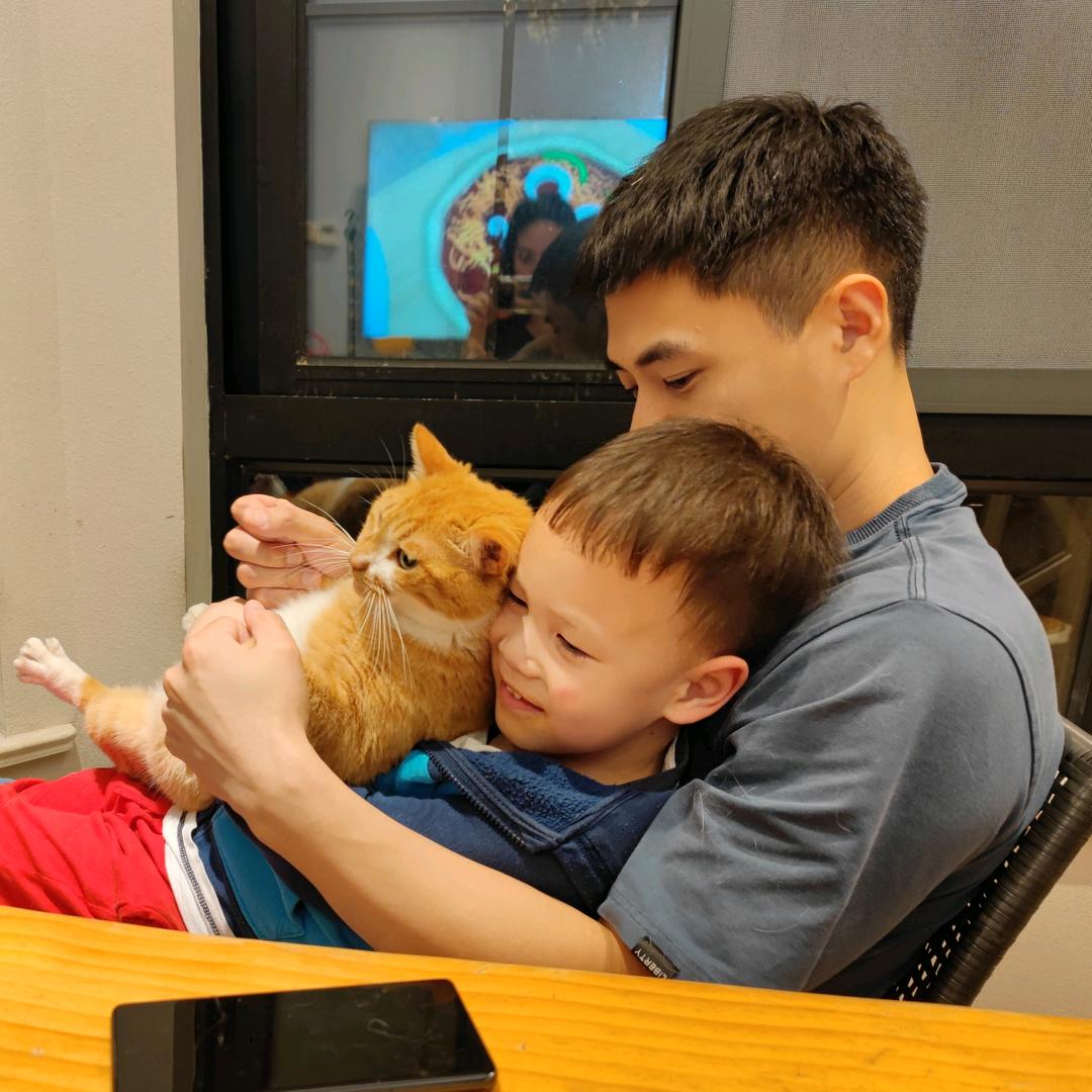 养猫的秦工