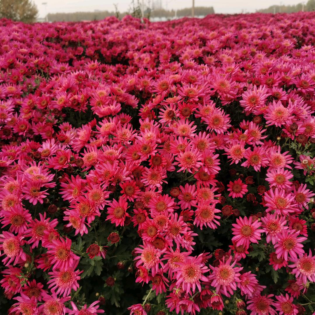 加油＾０＾~加油