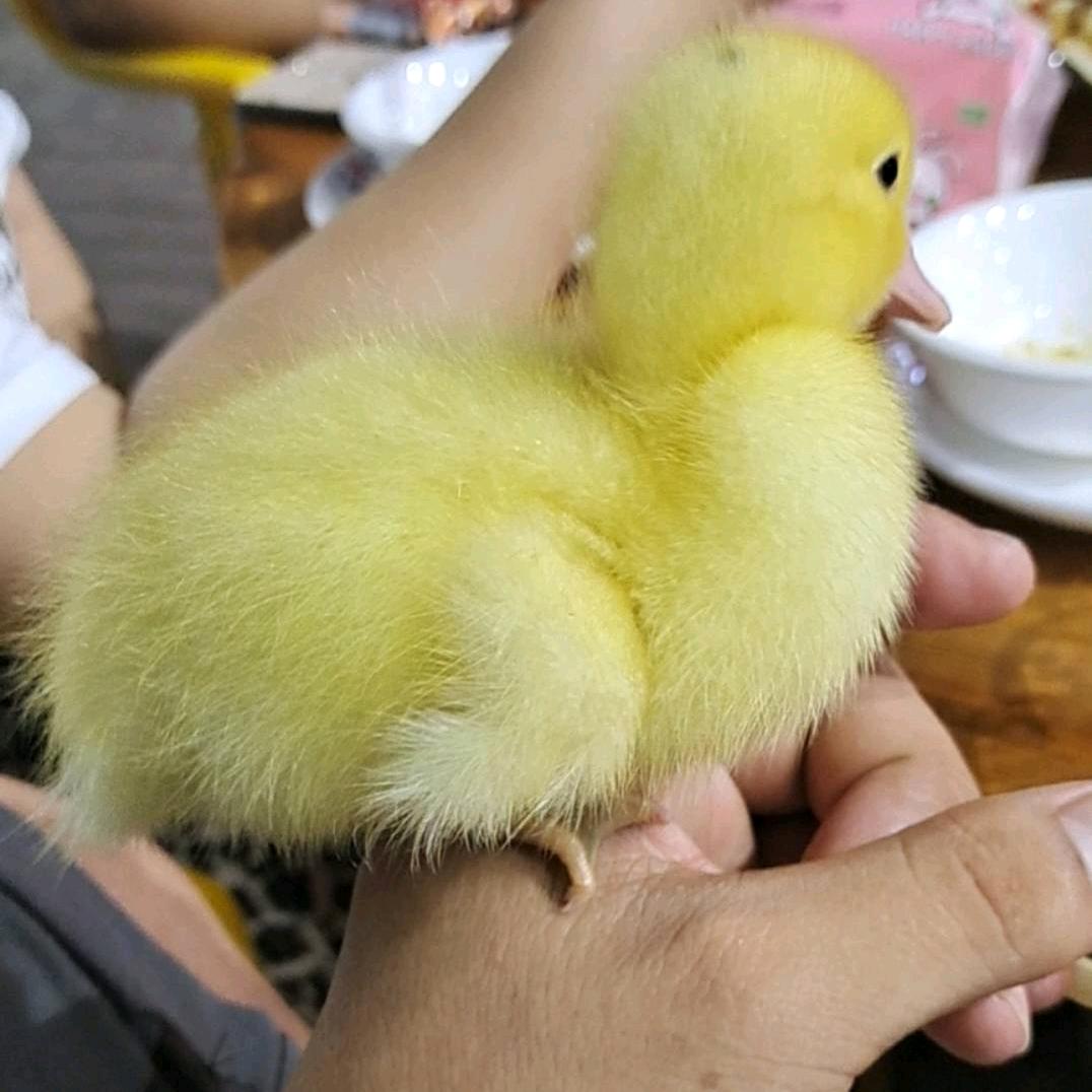 有你才幸福☜