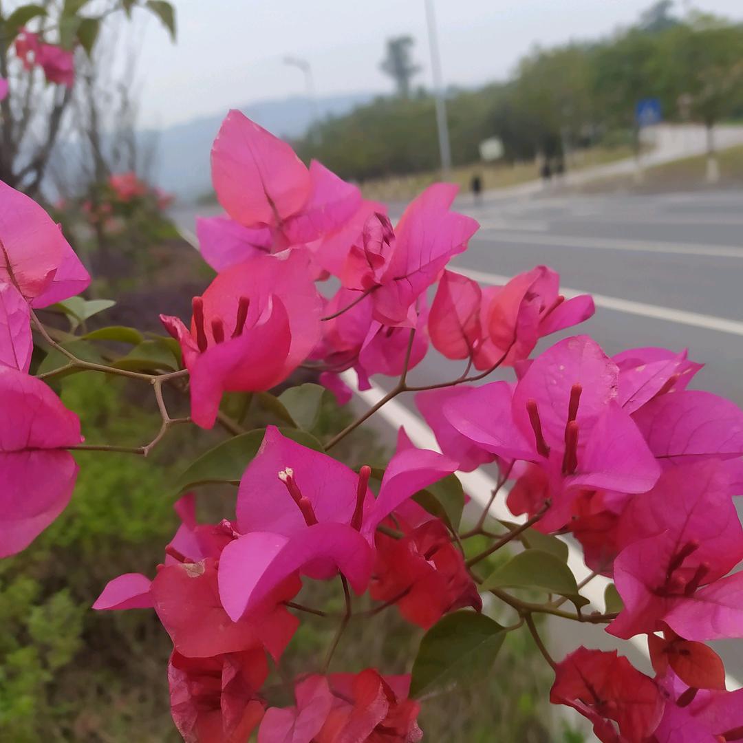 活就活个潇洒