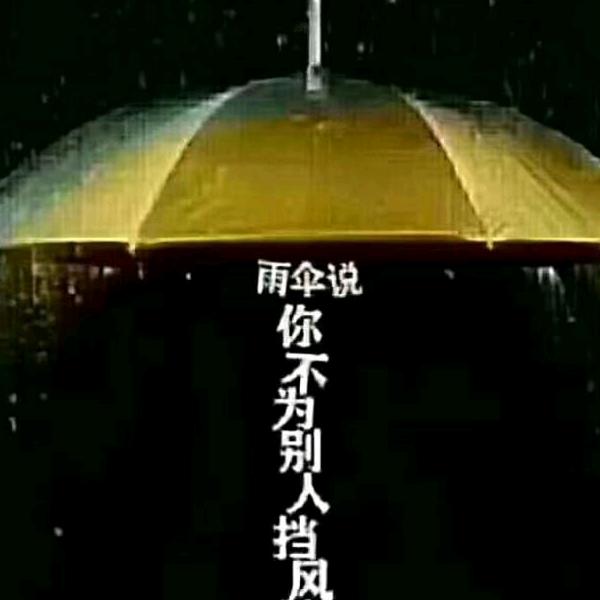 20;又是   ，乚