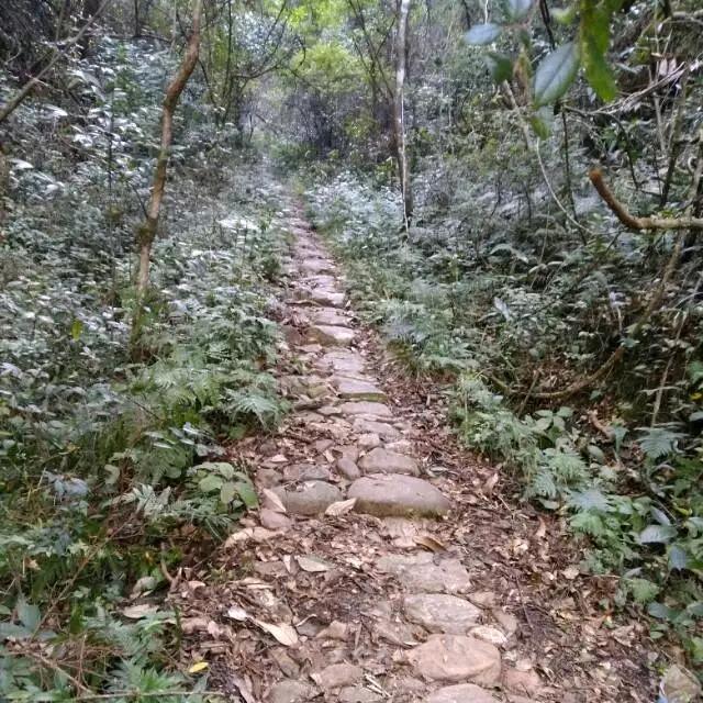 连城的