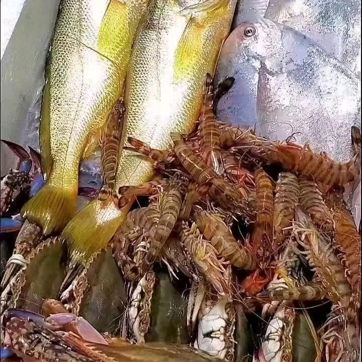 美食运输工