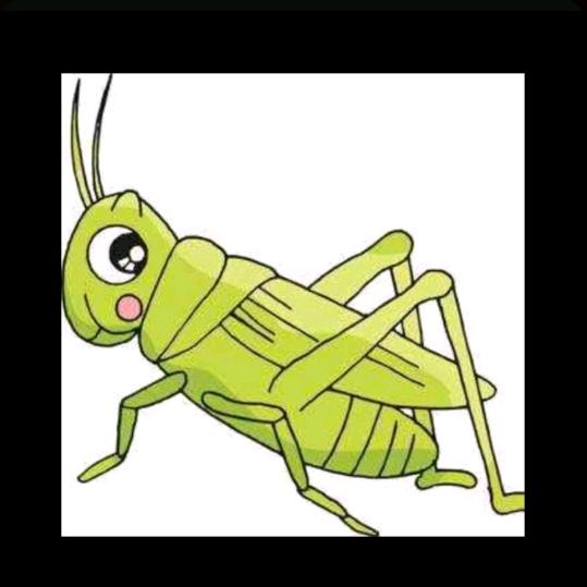 飞蝗蚂蚱养殖基地