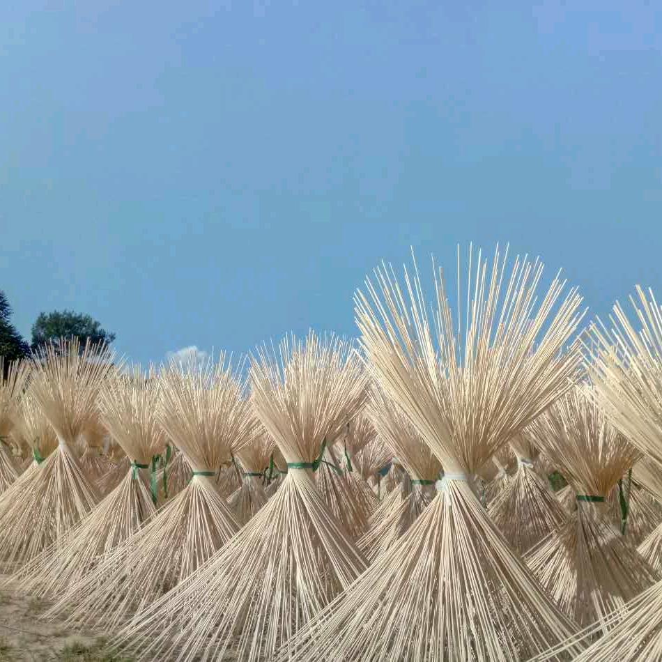 完美追求