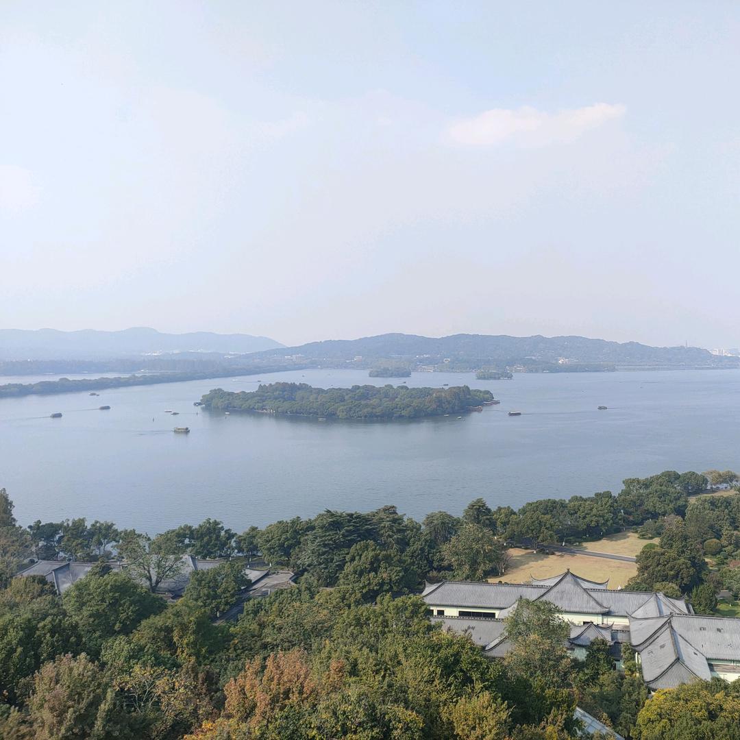 展翅高飞🐎🐎