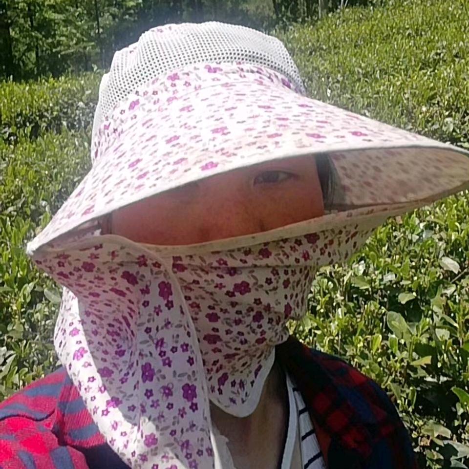 茶叶姐姐