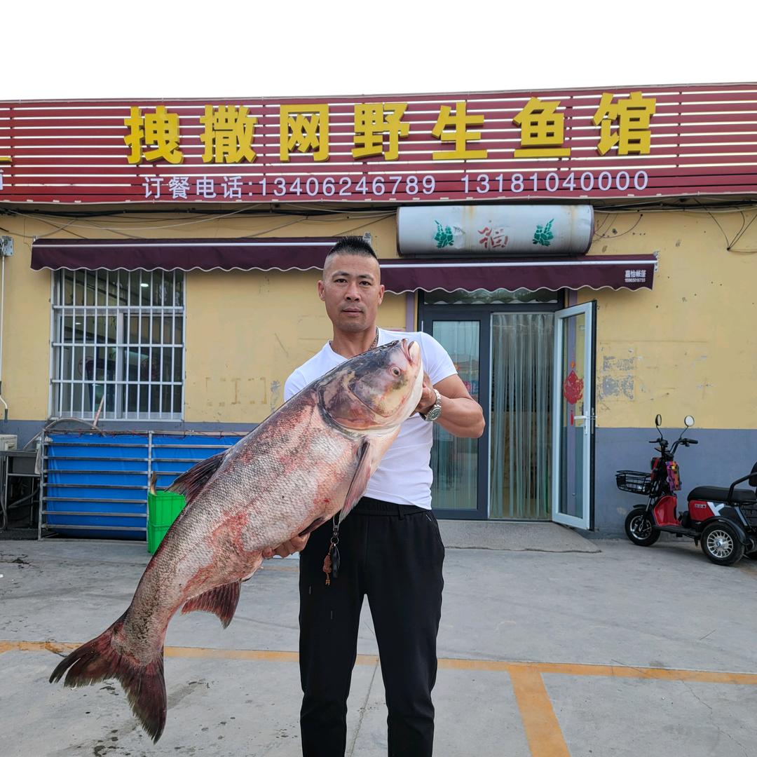 拽撒网 （军哥）