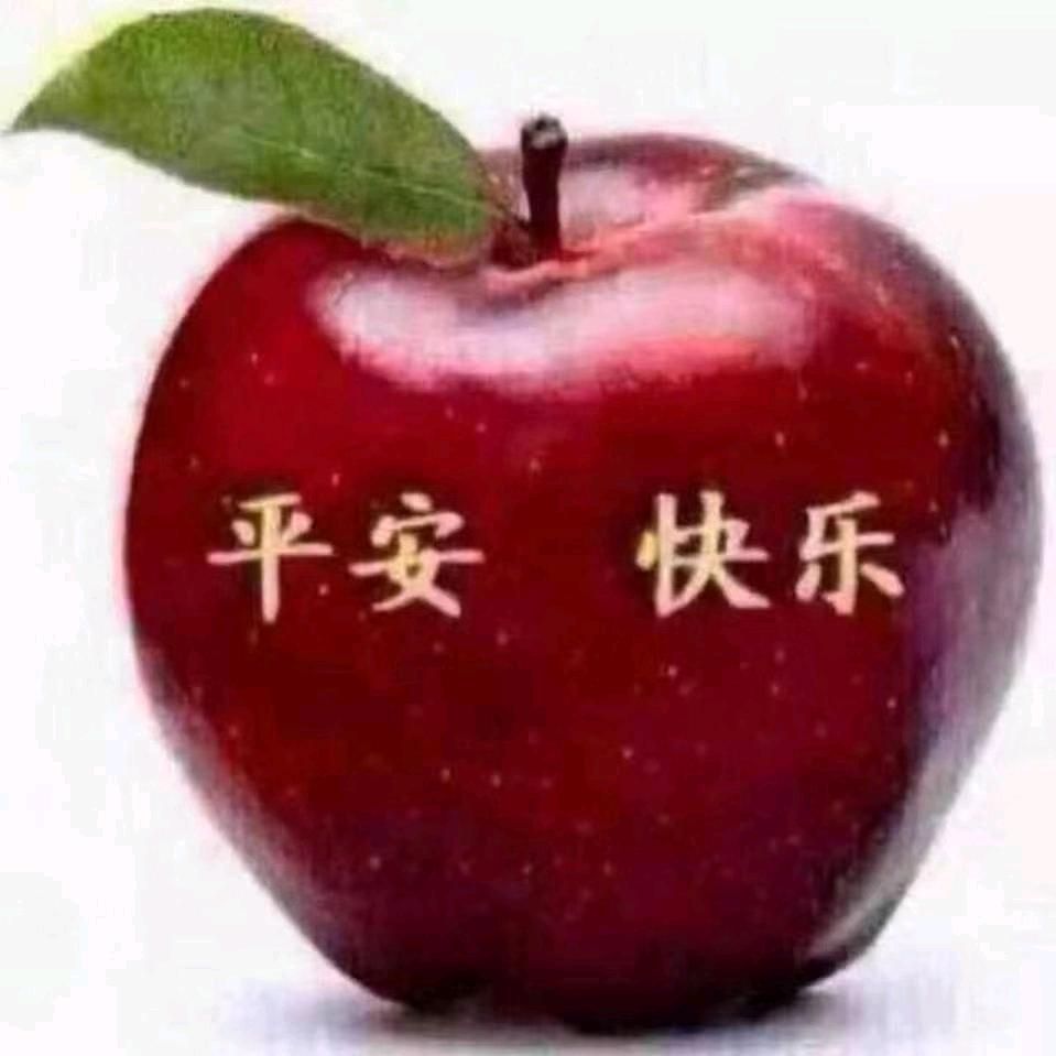 来生愿做一朵莲